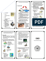 DBD.doc Leaflet