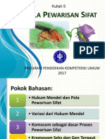 Pola Pewarisan Sifat