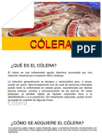 Cólera: causas, síntomas y tratamiento