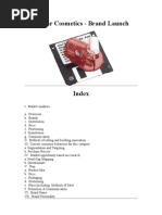 Download Brand Launch by feranna SN36344622 doc pdf