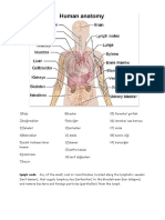 Lymph nodes and body parts
