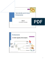 Z3 Nematoda PDF