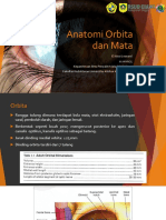 Anatomi Orbita Dan Mata