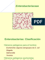Diapositivas Tema 14.1. Familia Enterobateriaceae