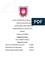 Report Usahawan Internet