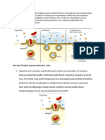 Endositosis