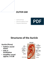 Outer Ear: - Auricle (Pinna) - External Auditory Canal - Tympanic Membrane