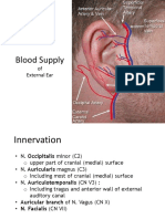 Blood Supply of External Ear