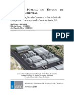 EIA_Carmona_2013_Final.pdf