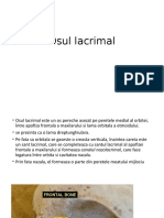 Osul Lacrimal