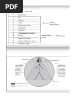 Mapa de la Conciencia de David Hawkins | PDF | Vida | Amor