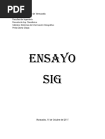 Ensayo Sig