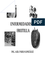 Enfermedades de Frutilla12.pdf