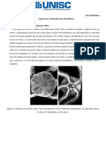 Lista de espécies brasileiras do filo Echinodermata- Gian Rodrigues.pdf