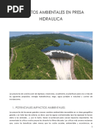 IMPACTOS AMBIENTALES PARA UNA PRESA HIDRAULICA.docx