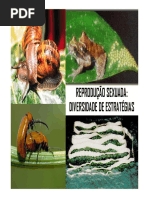 8. Estratégias Reprodução Sexuada