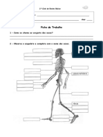 FICHAS Estudo do Meio4-º ano BOM.doc