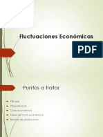 Fluctuaciones Economicas