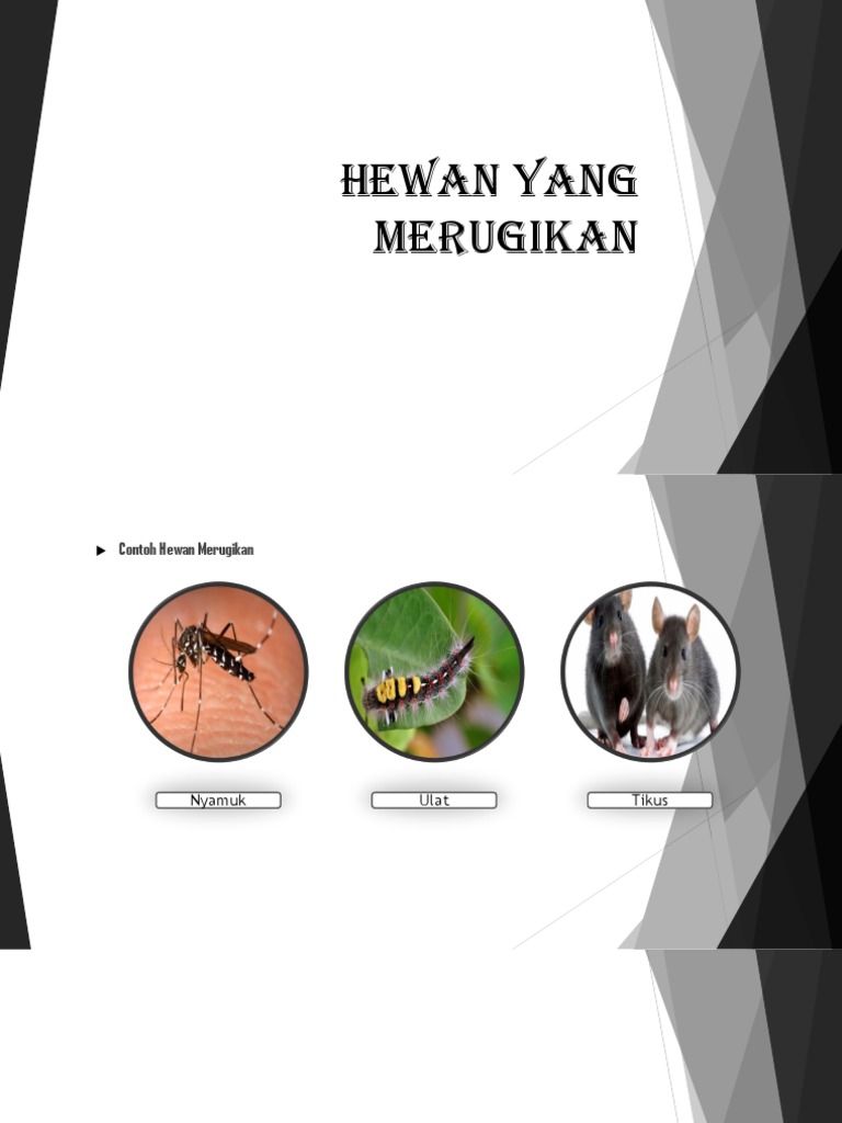 7600 Gambar Hewan Yang Merugikan Terbaik