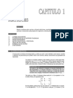 Algebra lineal - Joe García.pdf