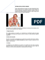 Enfermedades Del Sistema Circulatorio Humano