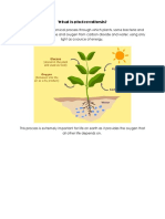 What is photosynthesis.docx