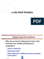 Shaly Sandstones