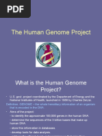 Download The Human Genome Project by Anonymous SN36351497 doc pdf