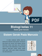 Sistem Gerak Manusia (Biologi Kelas 11)