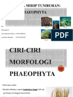 Phaeophyta Kel 8