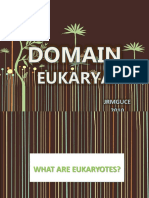 Domain Eukarya