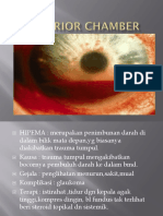 Anterior Chamber