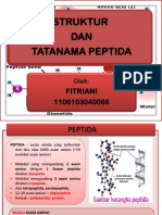 Struktur dan Tataname Peptida