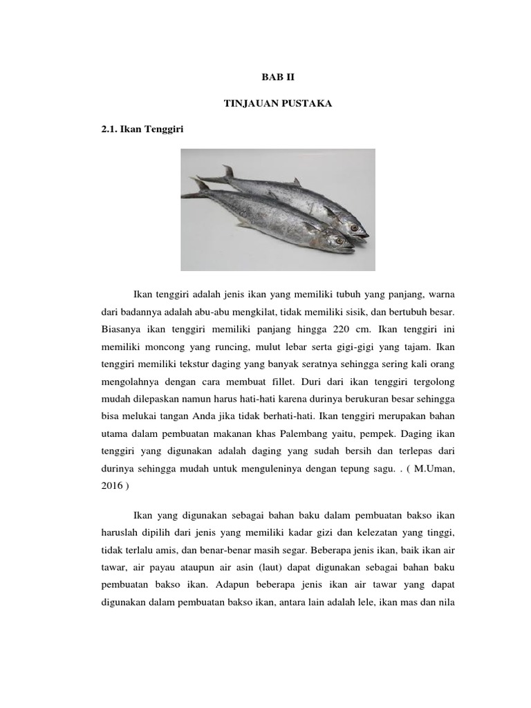 67+ Ikan Tenggiri Air Laut Atau Tawar HD Terbaik