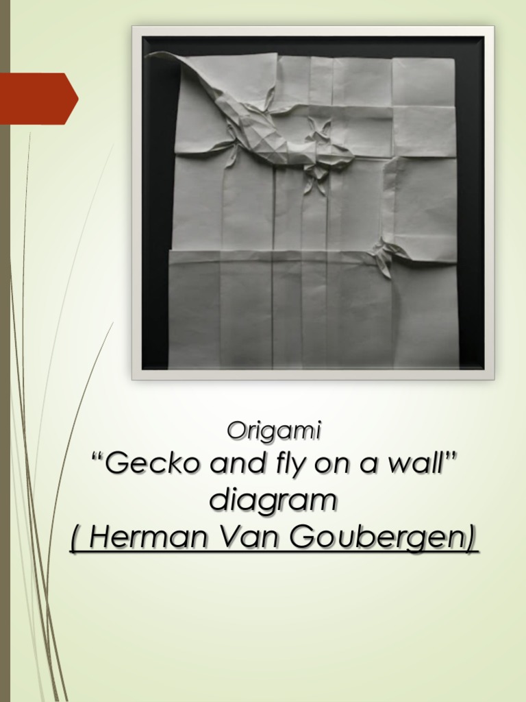 Origami Gecko y Mosca en El Muro Herman Van Goubergen | PDF