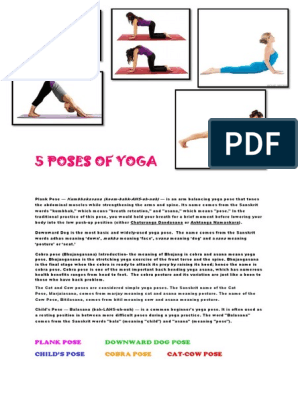 5 Poses of Yoga: Plank Pose