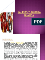 salinasyaguadablanca-130724193055-phpapp02