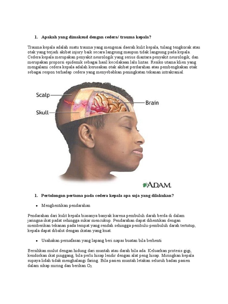 1 Apakah Yang Dimaksud Dengan Cedera Trauma Kepala