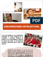Discapacidad Intelectual 1 PDF