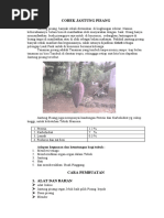 Download Nur Kurniawan Cobek Jantung Pisang by Asep Ahmad syah SN36355600 doc pdf