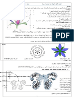 Leçon 1 - Angiospermes.doc