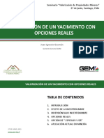 4 - Valorizacion Opciones Reales - JI  Guzman - GEM.pdf