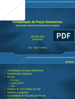 Completacao_de_Pocos_Submarinos_-_Visao_Geral_e_Cenario_Pre-Sal_da_Bacia_de_Santos.ppt