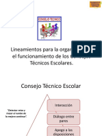 CTE-Lineamientos.pdf