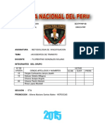 Monografia Accidentes de Transito Final