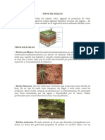 Tipos de suelos: arcilla, limo, arena y más