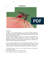 EL DENGUE