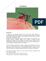 El Dengue