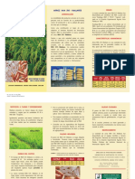 ARROZ INIA 510 - MALLARES.pdf