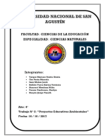 PROYECTOS EDUCATIVOS AMBIENTALES (GRUPO 1).docx